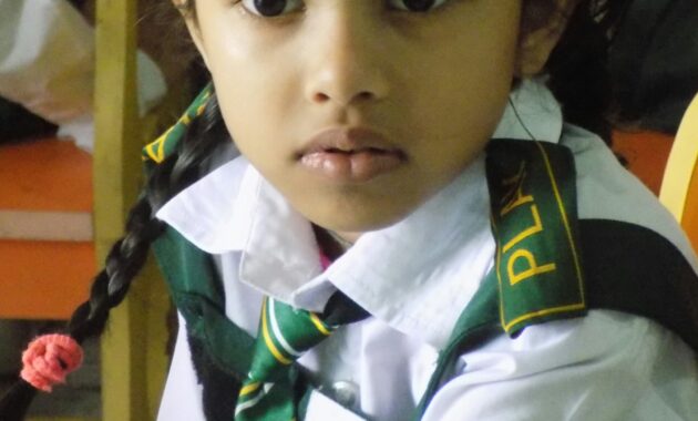 Tutorial Memakai Dasi Sekolah